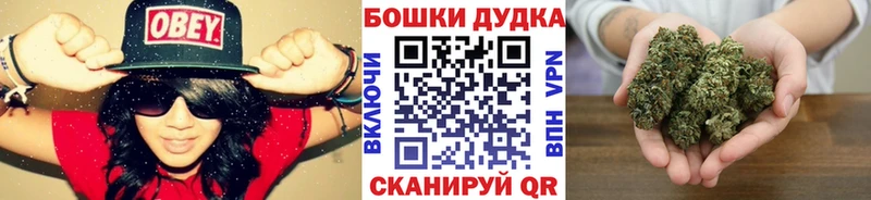 Купить где  Вязники  Бошки марихуана планчик 